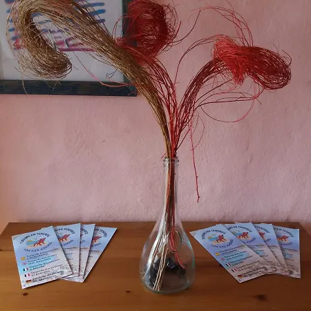 Bed and Breakfast Maison Chayofita Tenerife