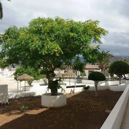 Maison Chayofita Tenerife * Costa Del Silencio