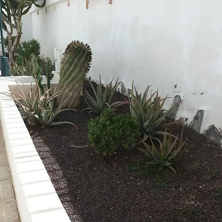 Maison Chayofita Tenerife B&B