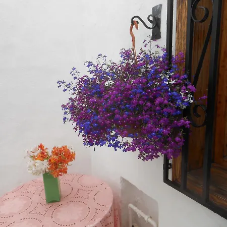 Maison Chayofita Tenerife B&B 코스타델실렌시오